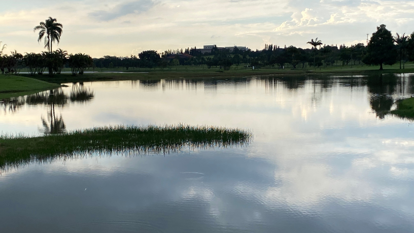 Descubra com Milton Seigi Hayashi por que estilo e confiança são diferenciais dentro e fora dos campos de golfe.