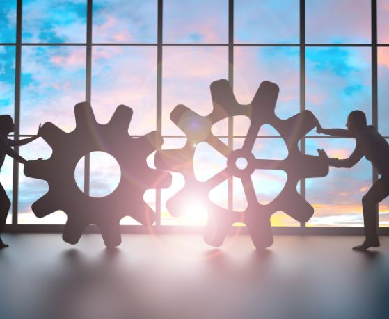 A curiosidade contínua cria ambientes onde ideias ganham vida e empresas comuns se transformam em polos de inovação — visão reforçada por Alfredo Moreira Filho.