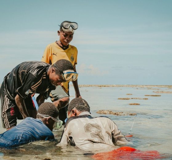 Duas crianças observam a vida marinha no mar usando máscaras de mergulho.